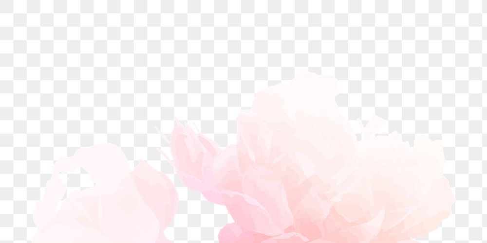 Pink flower png watercolor sticker, transparent background