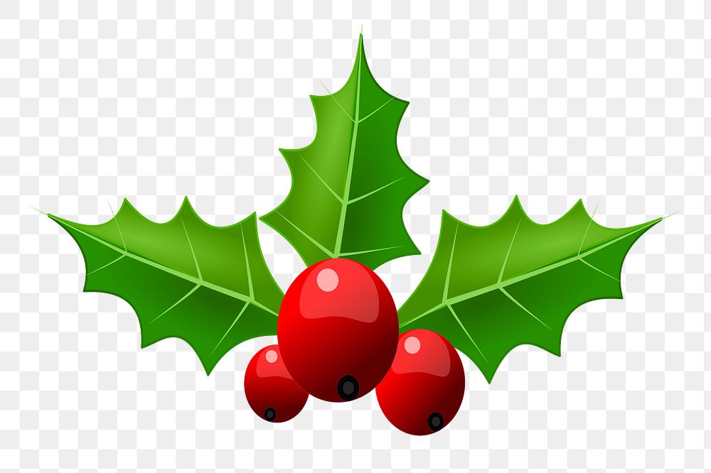 Christmas holly  png illustration, transparent background. Free public domain CC0 image.