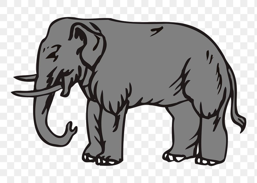 Grey elephant png illustration, transparent background. 