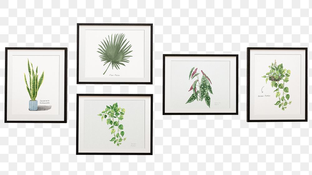 Gallery wall png plants sticker, transparent background