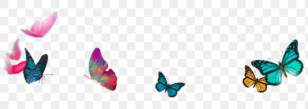 Butterfly png sticker, colorful design, transparent background