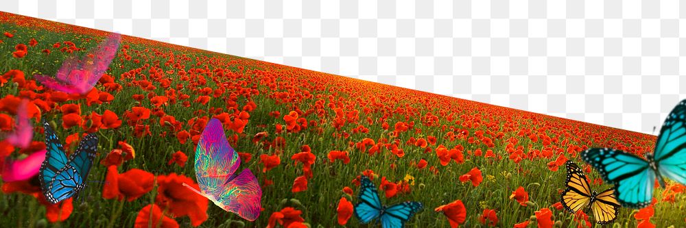 Png red flower field border, transparent background