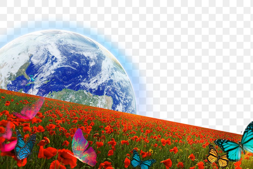 Png flower field & earth border, remixed media, transparent background