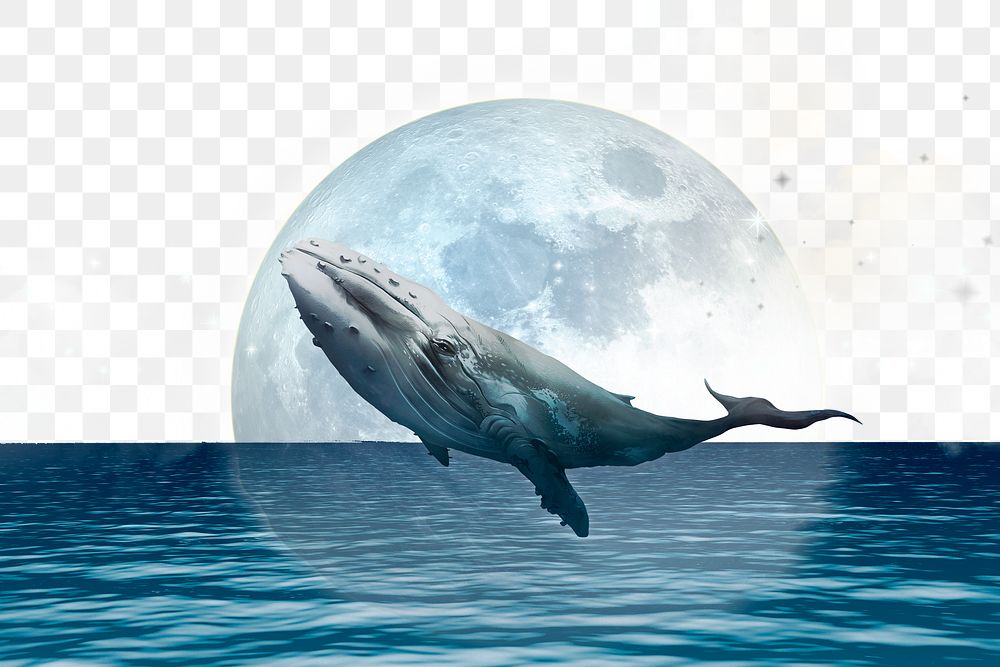 Png moon & whale border, surreal remixed media, transparent background