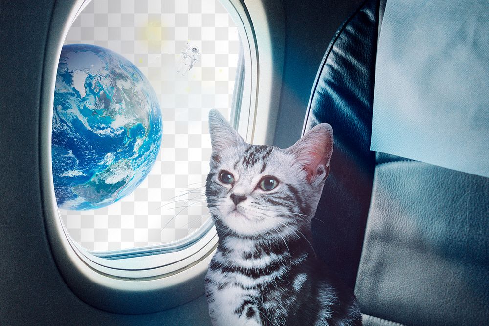 Png cat on plane, surreal collage art remixed media, transparent design