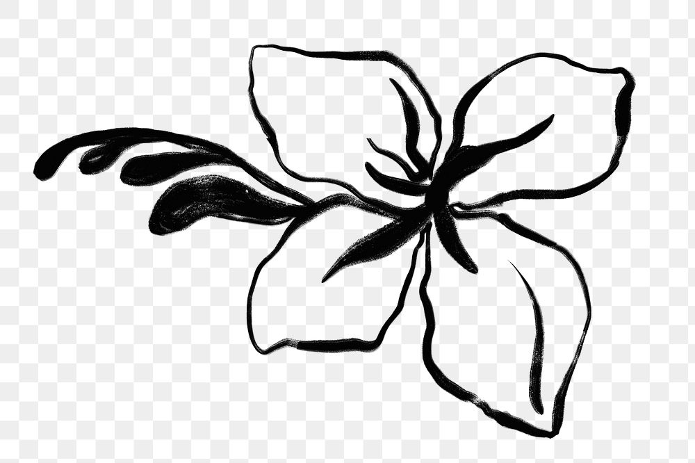 Hibiscus png ink brush  sticker, flower transparent background