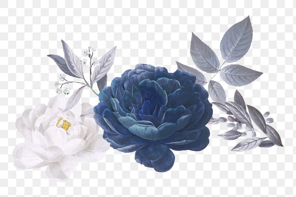 Blue rose png sticker, vintage illustration, transparent background