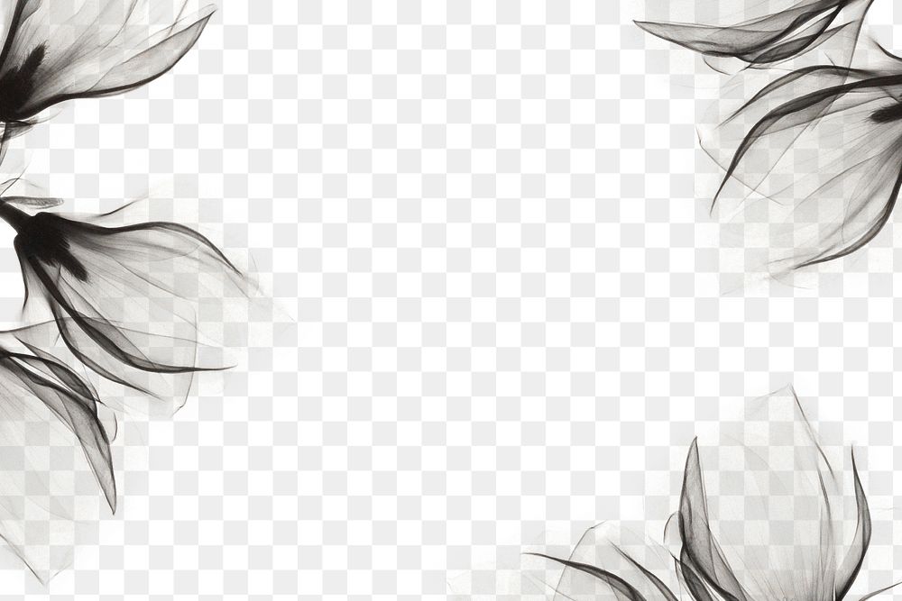 Aesthetic flower png border, transparent background