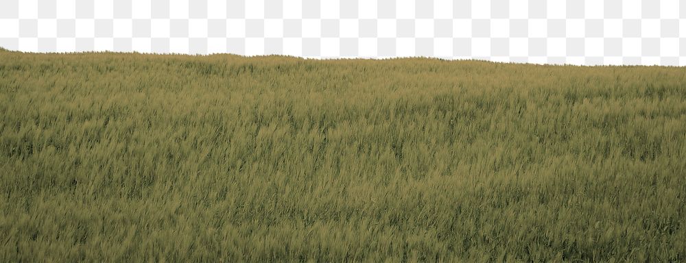 Grass field png border, nature transparent background