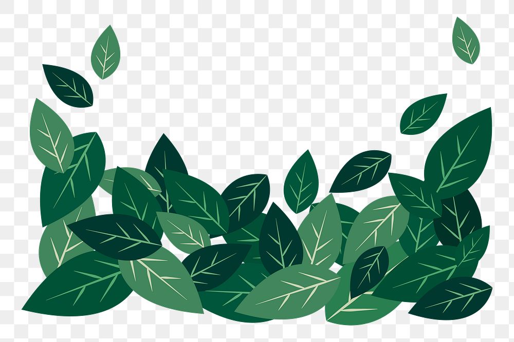 Leaf border png sticker, transparent background