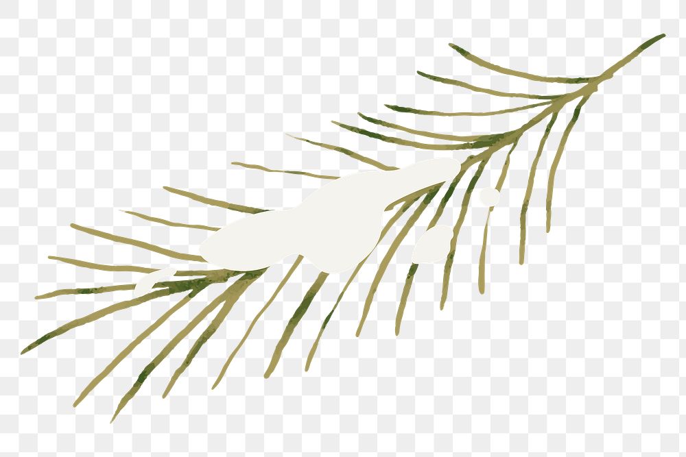 Snowy branch png winter sticker, transparent background