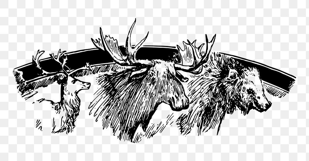 Moose elk png  illustration, transparent background. Free public domain CC0 image.