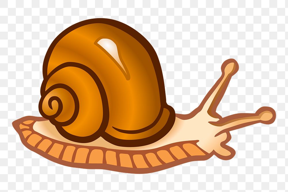 Snail png illustration, transparent background. Free public domain CC0 image.