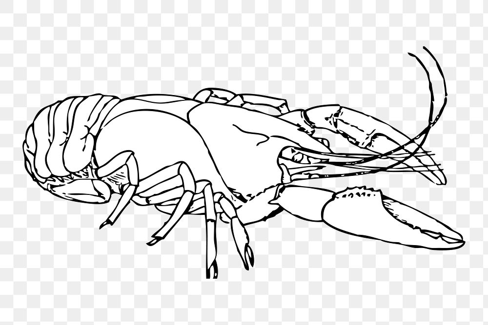 Lobster line art png illustration, transparent background. Free public domain CC0 image.