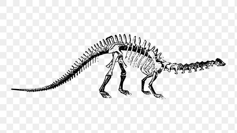 Dinosaur fossil png illustration, transparent background. Free public domain CC0 image.