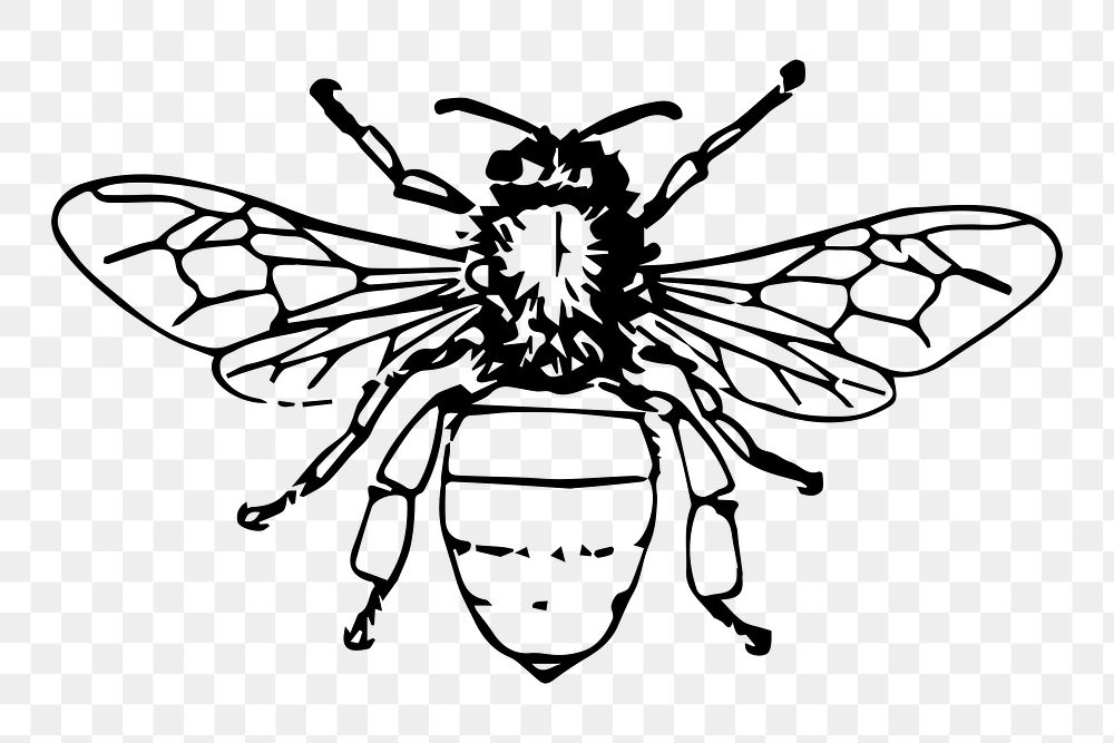 Bee png illustration, transparent background. Free public domain CC0 image.