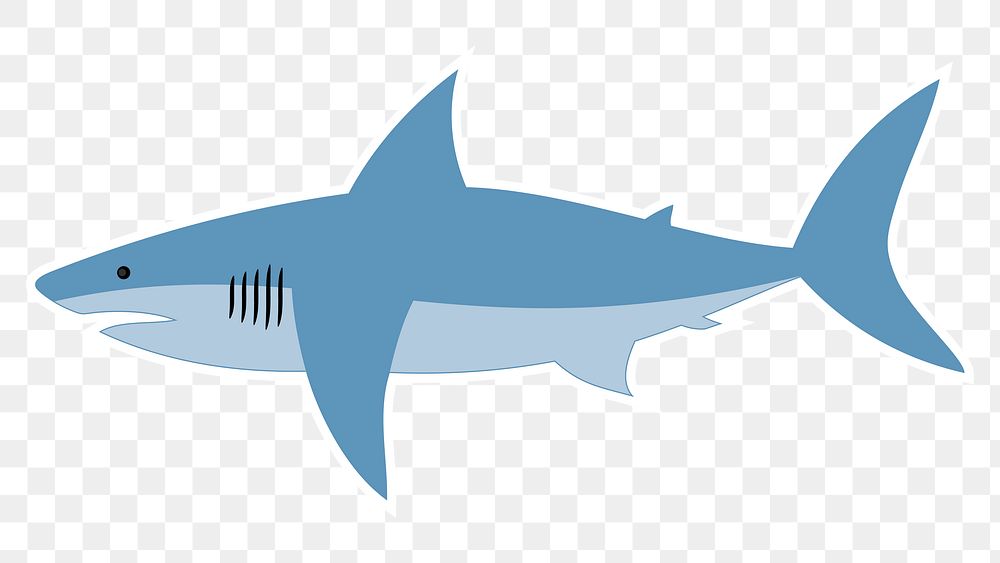 Shark png illustration, transparent background. Free public domain CC0 image.