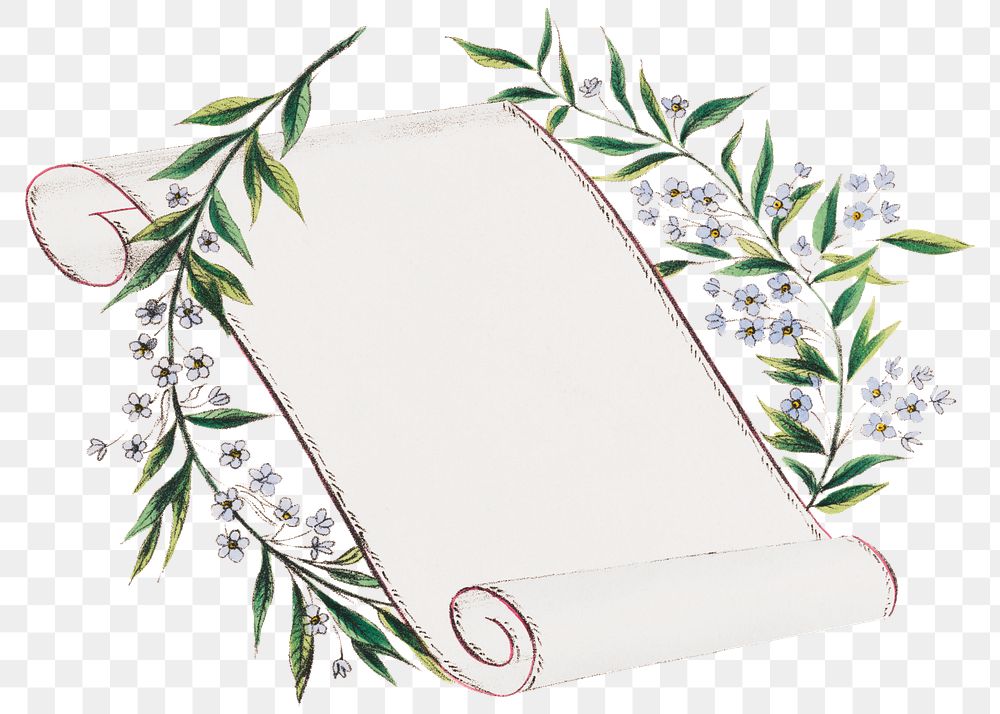 Vintage scroll png flower decoration  sticker, transparent background