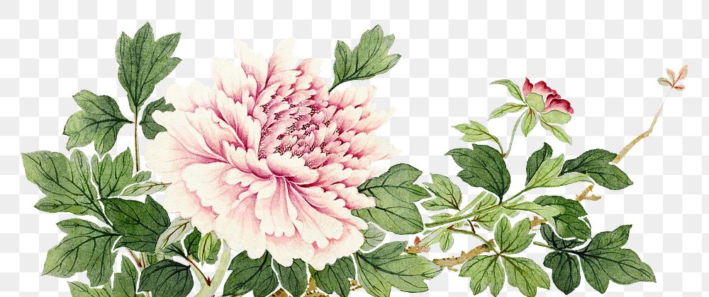 Pink peony png vintage flower border sticker, transparent background