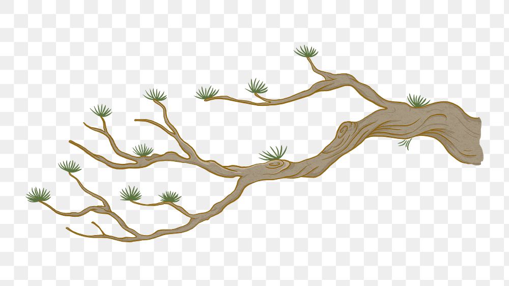 Tree branch png sticker, botanical illustration, transparent background