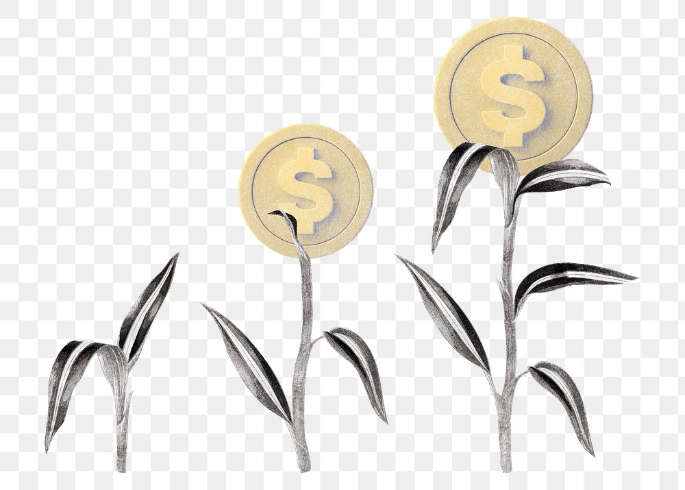 Growing money plant png sticker, transparent background