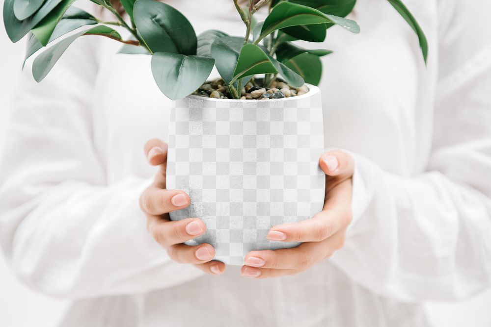 Houseplant pot png mockup, transparent design