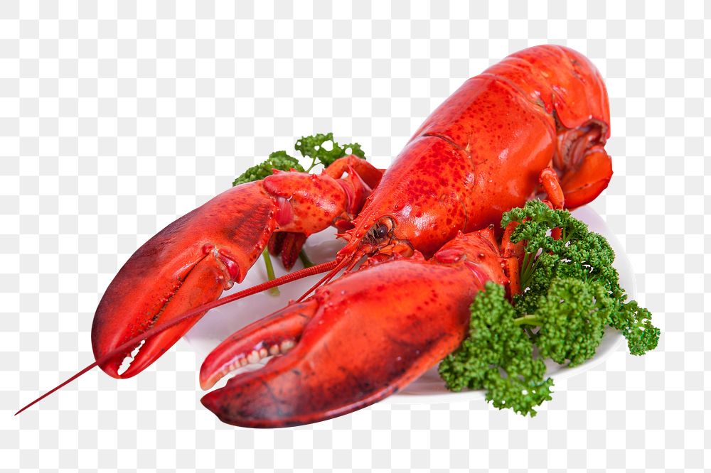 Lobster dish png sticker, transparent background