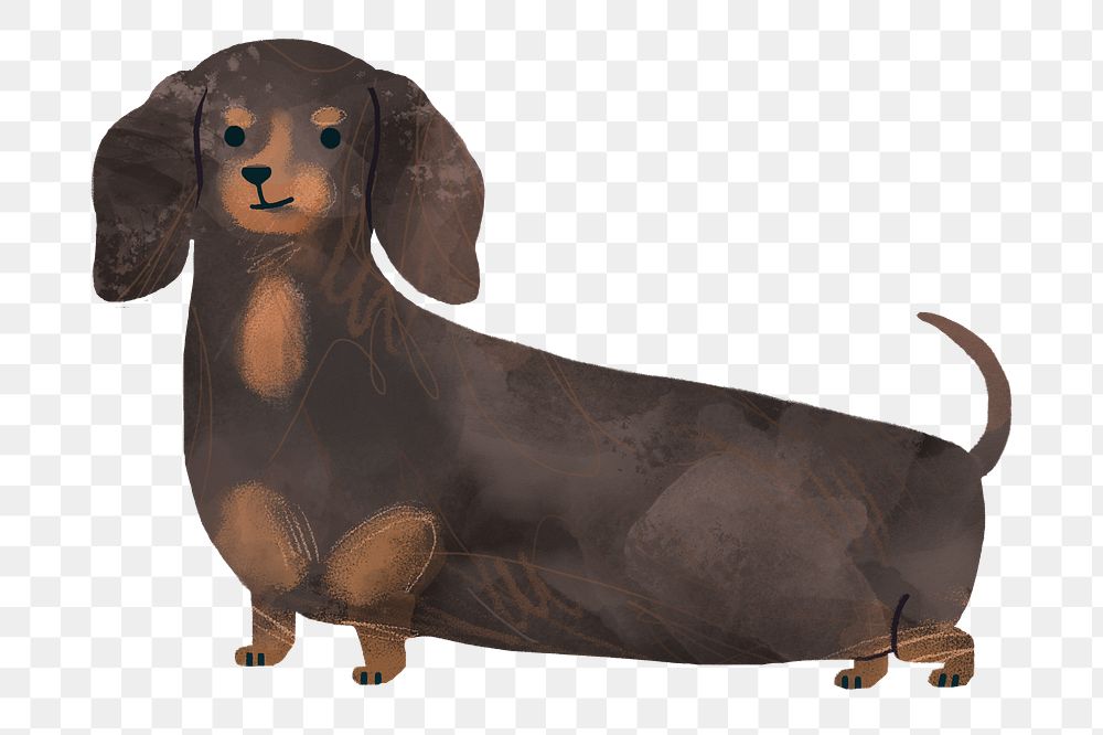 Dachshund illustration png sticker, transparent background