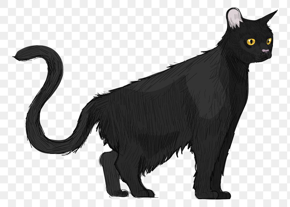 Png Bombay black cat  animal illustration, transparent background