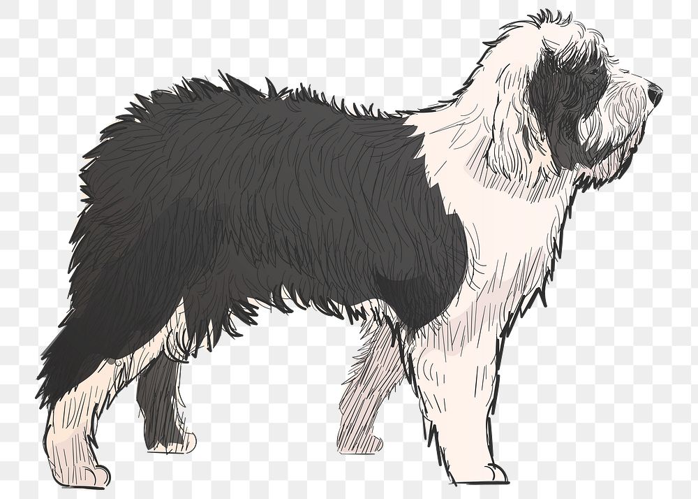 Png Old English Sheepdog  animal illustration, transparent background