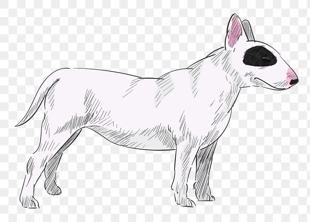 Png Bull Terrier dog  animal illustration, transparent background