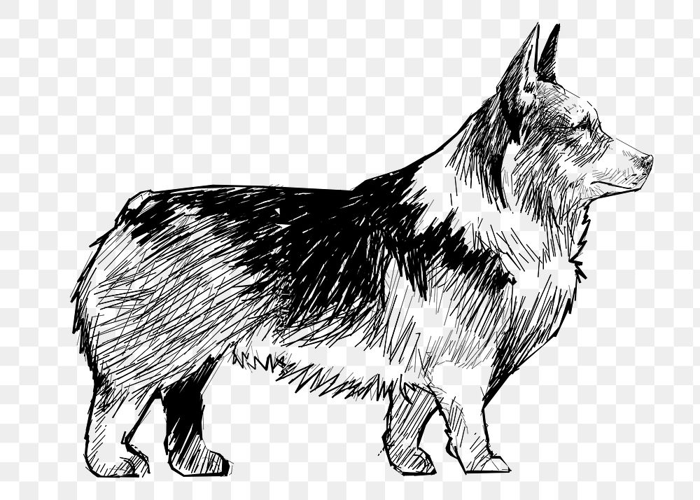Png black Corgi dog  animal illustration, transparent background