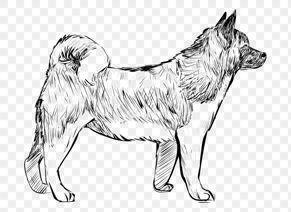 Png Akita dog  animal illustration, transparent background