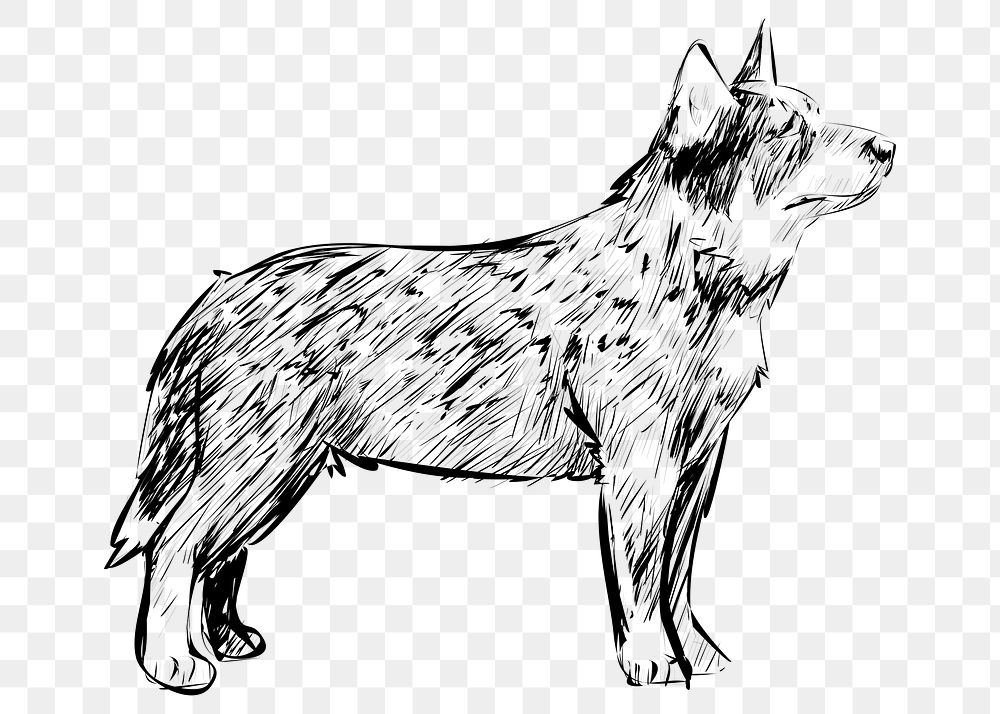 Png Cattle dog  animal illustration, transparent background