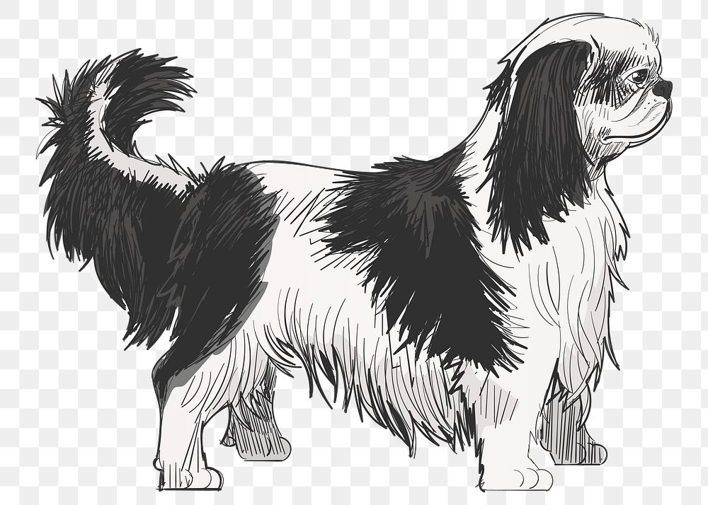 Png King Charles Spaniel dog  animal illustration, transparent background