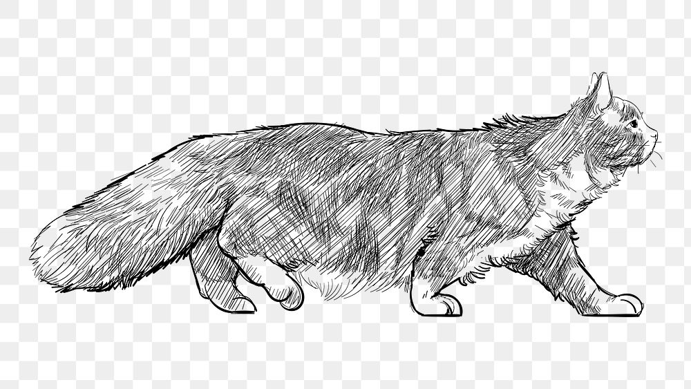 Png Siberian cat  animal illustration, transparent background