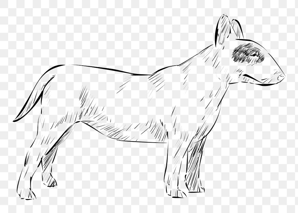 Png Bull Terrier dog  animal illustration, transparent background