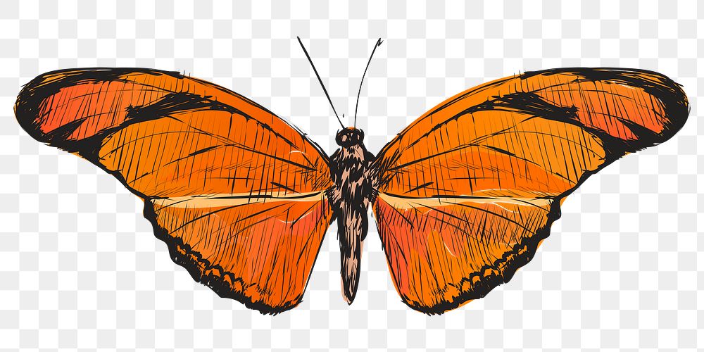 Png Orange Julia butterfly  animal illustration, transparent background