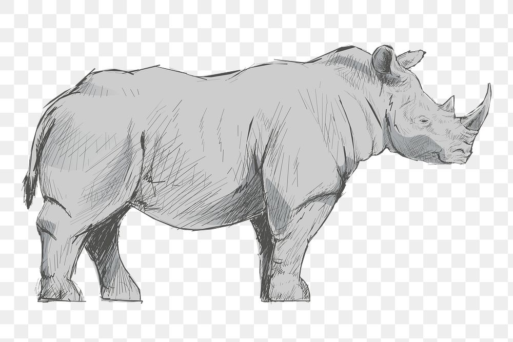 Png gray Rhinoceros  animal illustration, transparent background