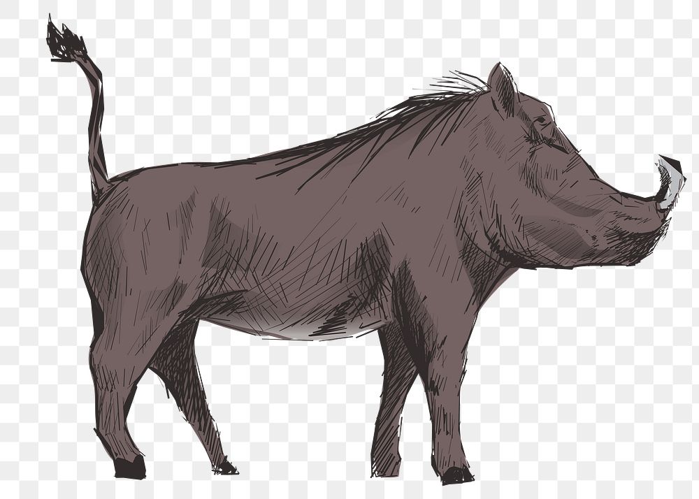 Png wild warthog  animal illustration, transparent background