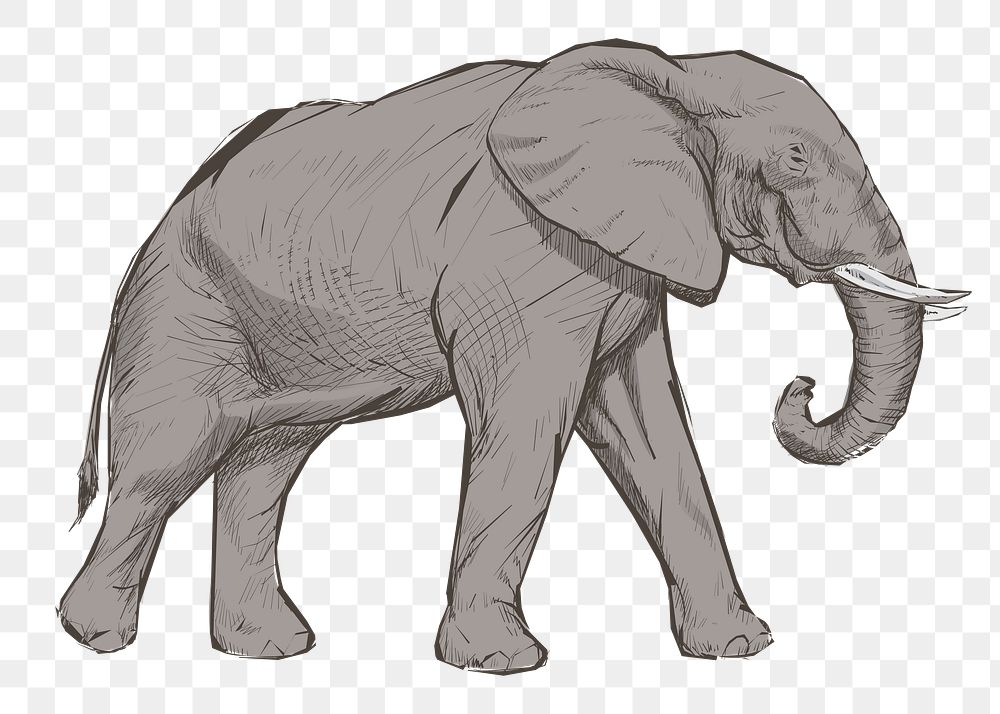 Png gray elephant  animal illustration, transparent background
