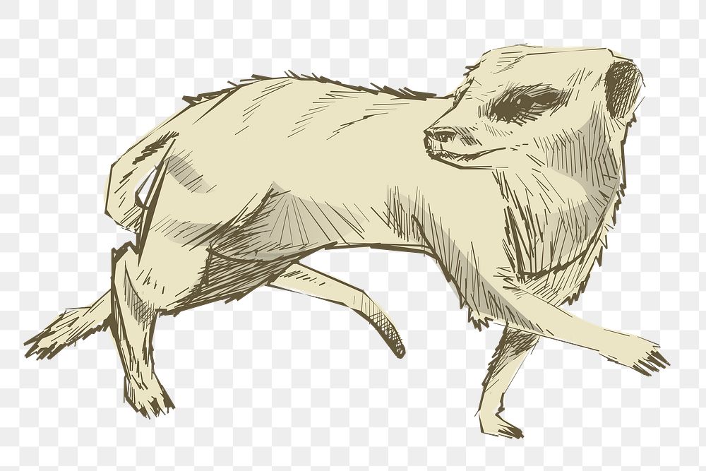 Png Meerkat walking  animal illustration, transparent background