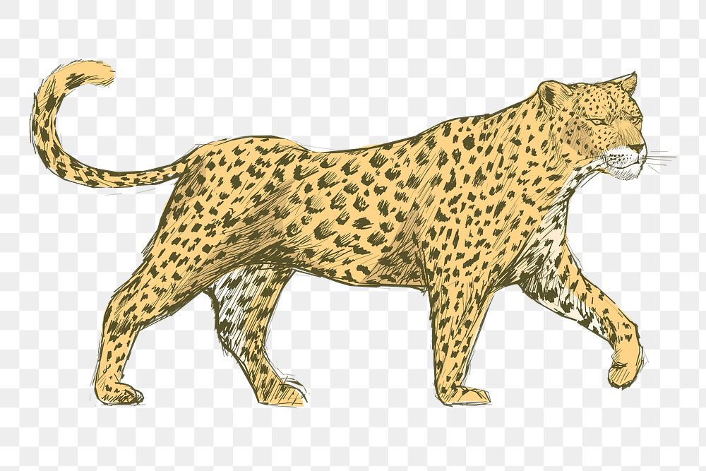 Png yellow leopard  animal illustration, transparent background