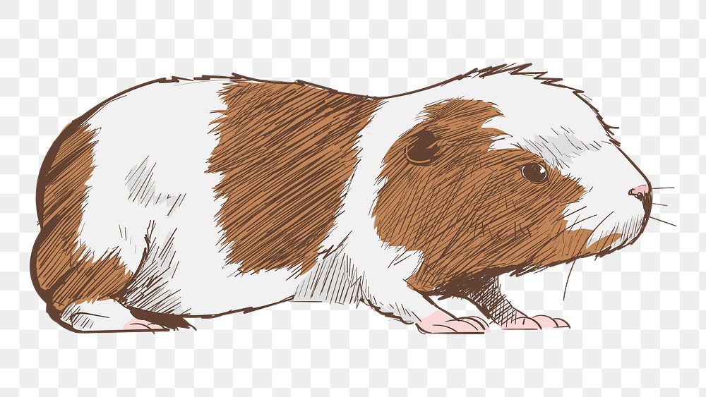Png cute hamster  animal illustration, transparent background
