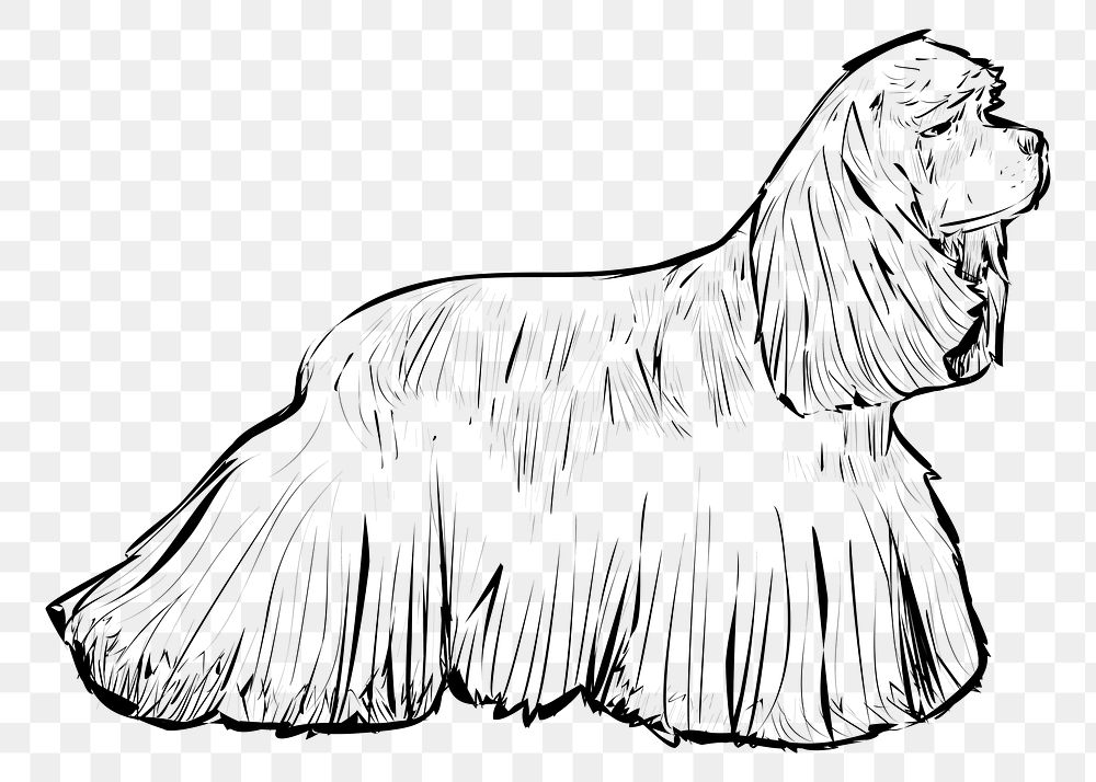 Png Spaniel dog  animal illustration, transparent background