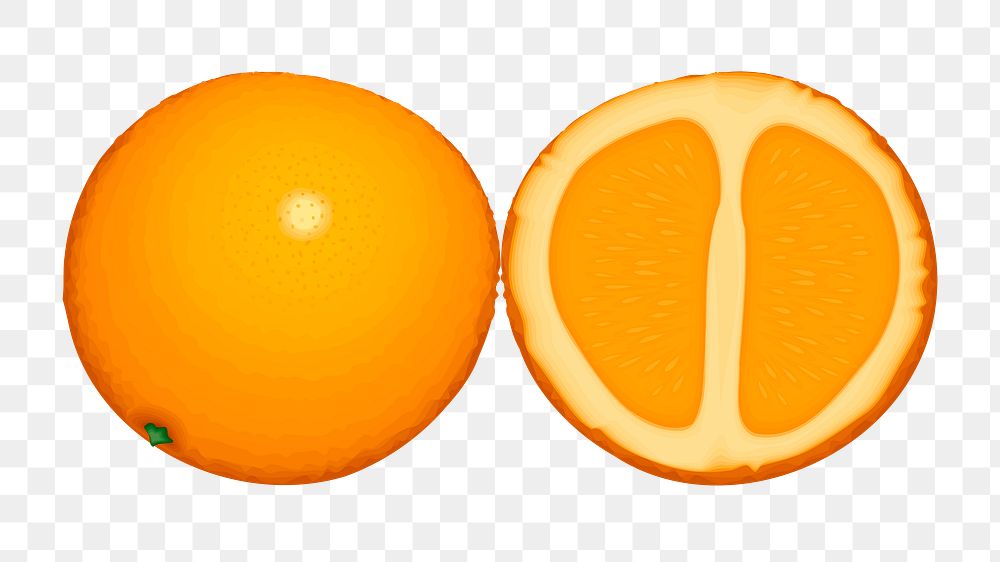 Orange fruit png illustration, transparent background. Free public domain CC0 image.