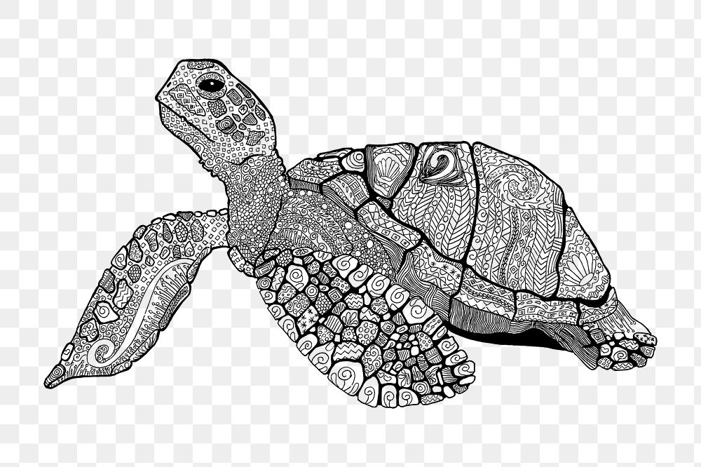 Sea turtle png illustration, transparent background. Free public domain CC0 image.