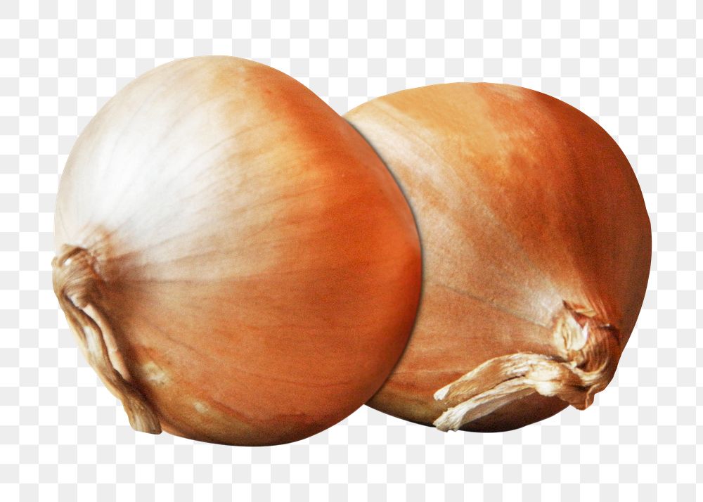 Organic onions png sticker, transparent background