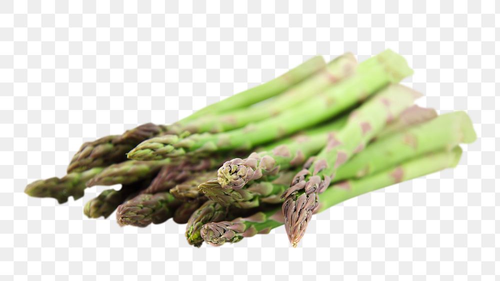 Fresh asparagus png sticker, transparent background