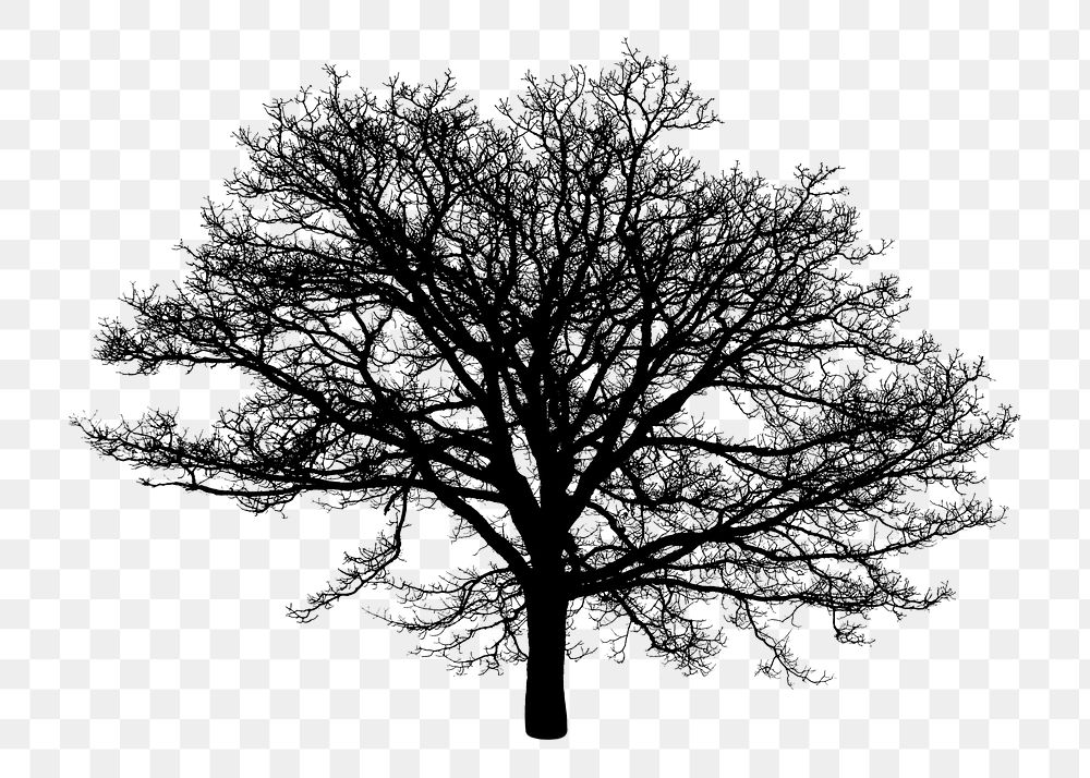 Tree silhouette png sticker, transparent background